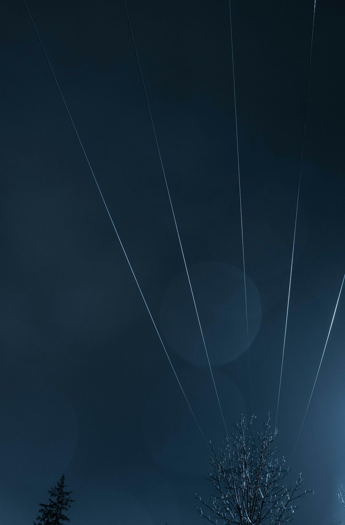 white and black heart illustration