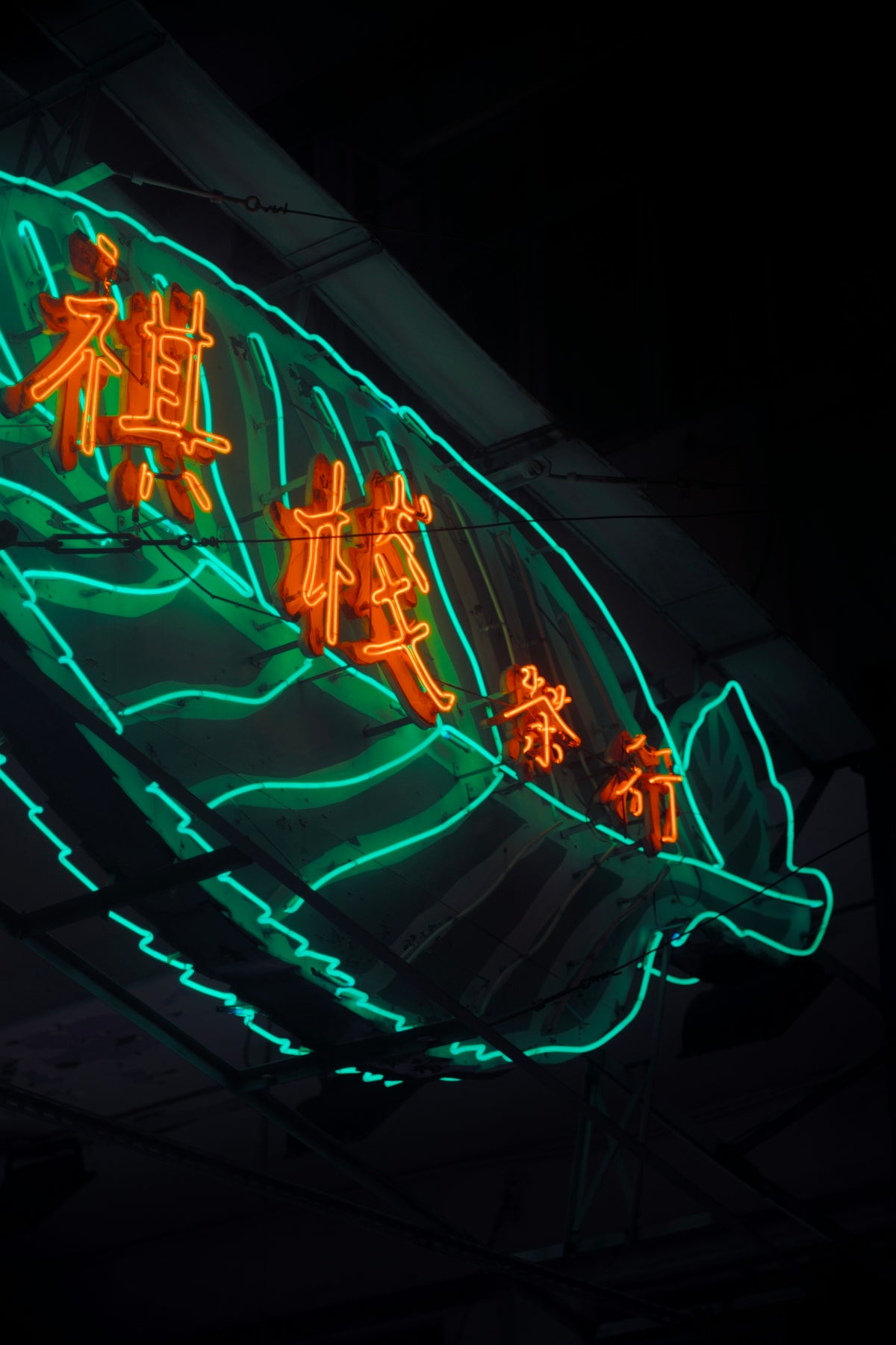 blue and white neon light