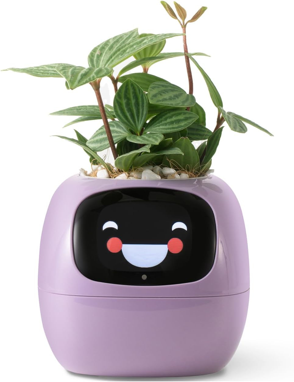 Smart Pet Planter Robot Guidance on Plant Care with Emojis, Adorable Plant Companion with Rich Gesture Interaction, Neat Desk Setup Gift (Pink)