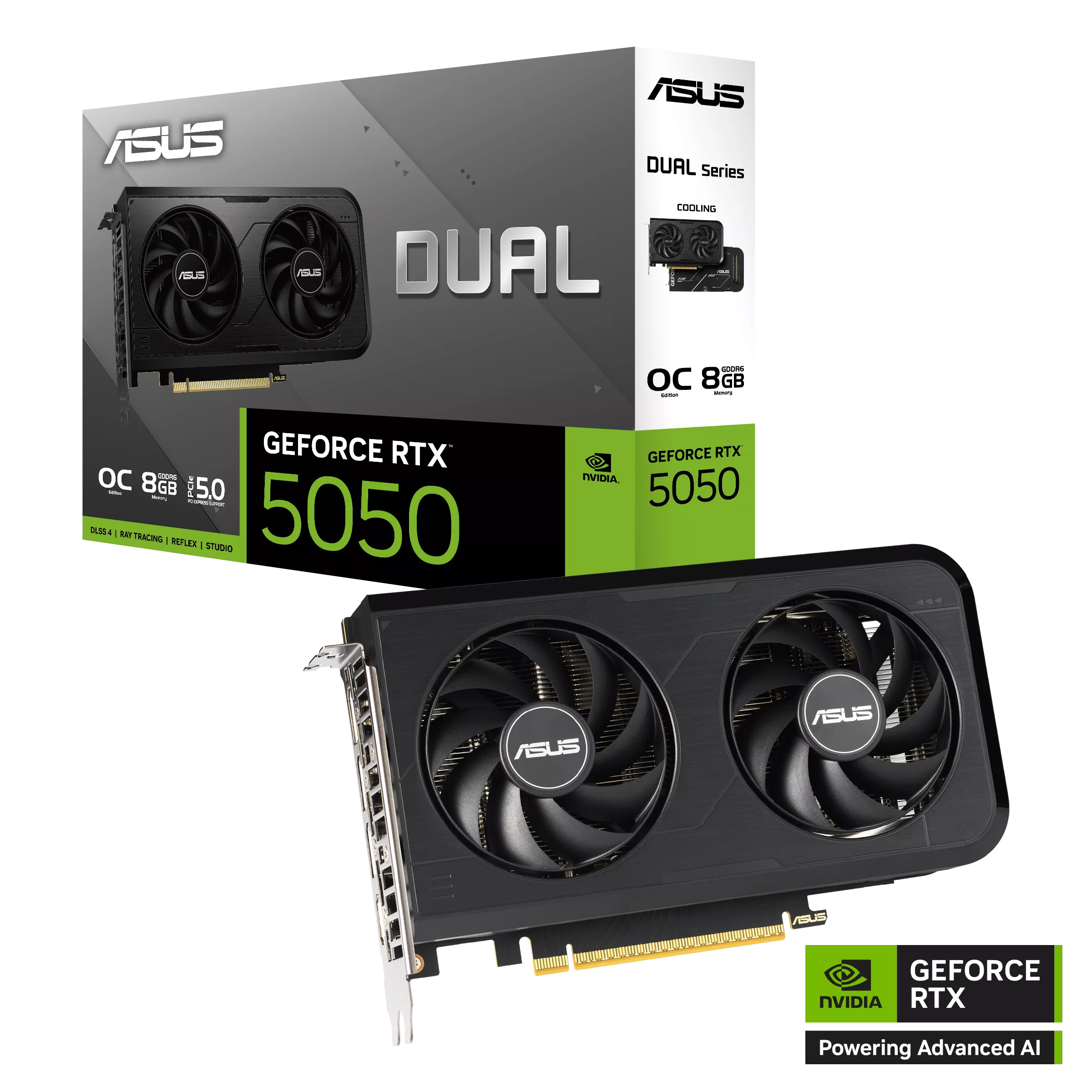 ¿Tarjeta Gráfica Asus o RTX 4090? Lo Que Debes Saber