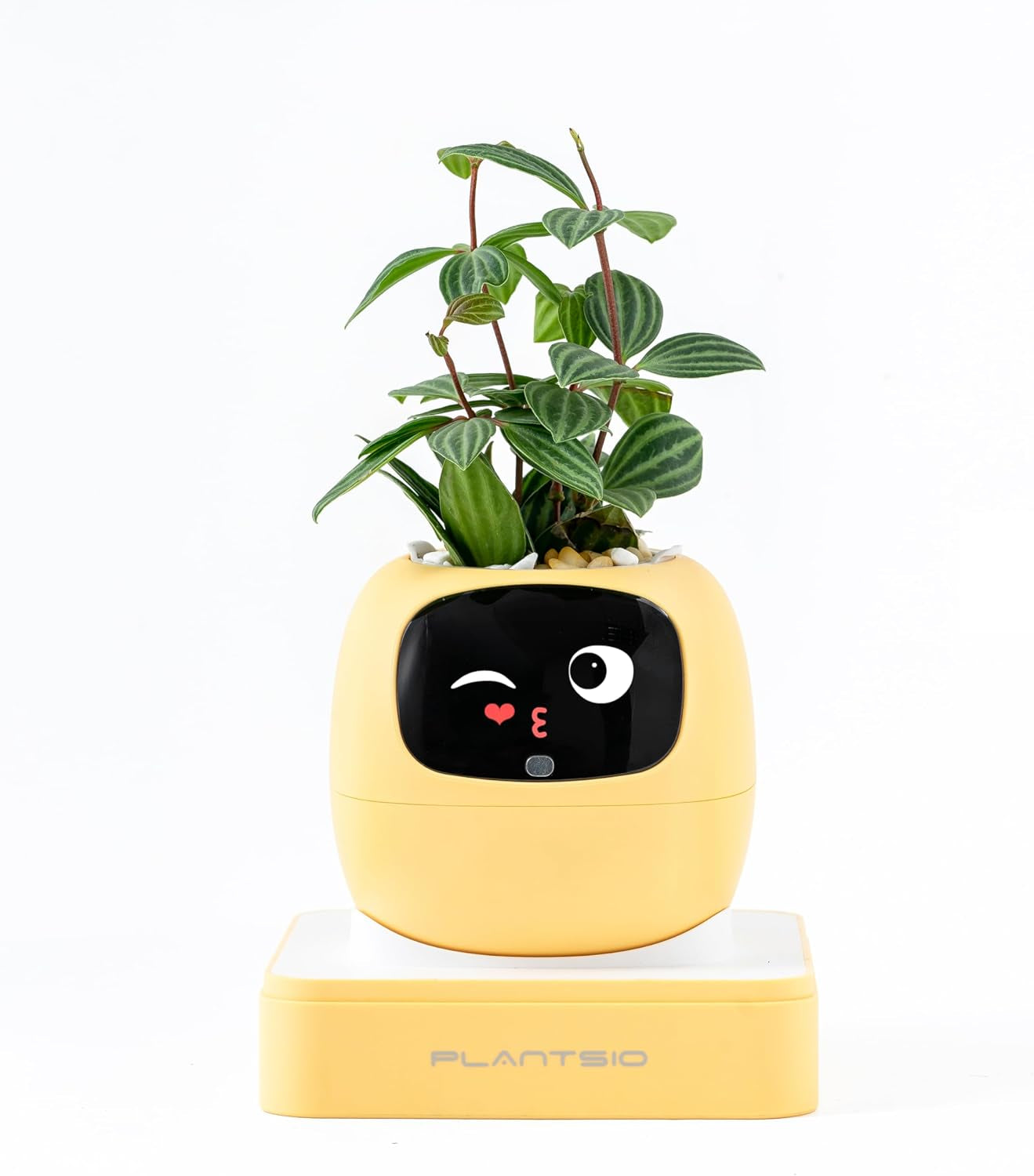 Smart Pet Planter Robot Guidance on Plant Care with Emojis, Adorable Plant Companion with Rich Gesture Interaction, Neat Desk Setup Gift (Pink)