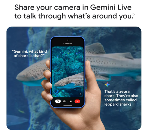 Google Pixel 10 - Reacondicionado