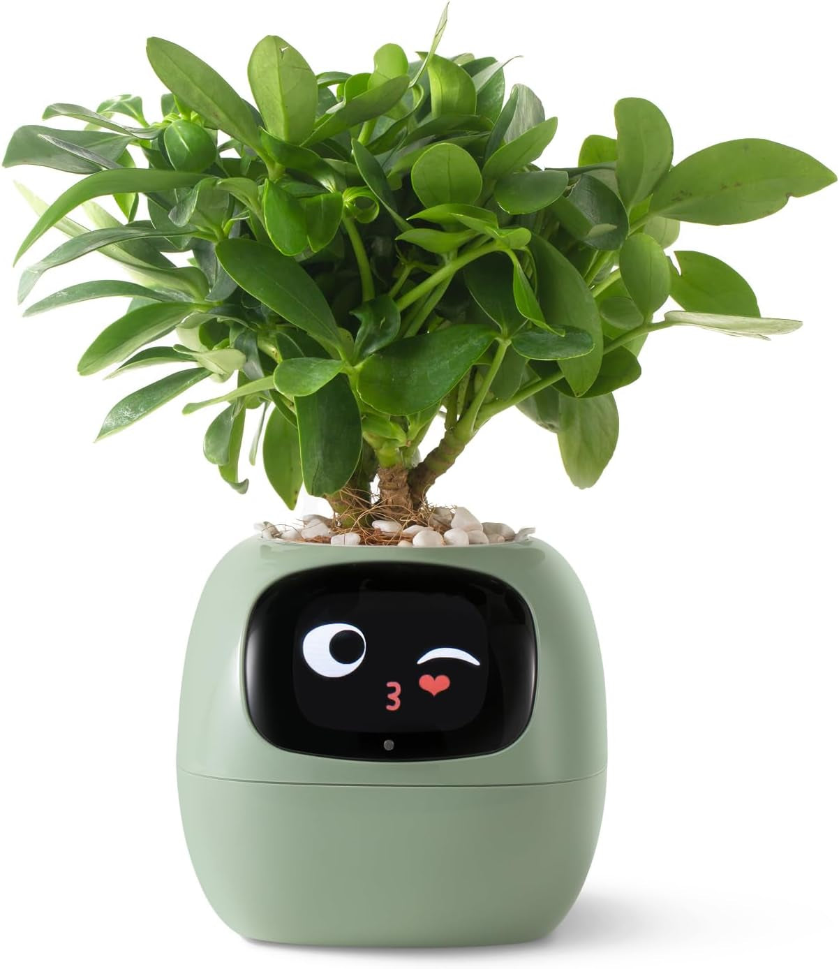 Smart Pet Planter Robot Guidance on Plant Care with Emojis, Adorable Plant Companion with Rich Gesture Interaction, Neat Desk Setup Gift (Pink)