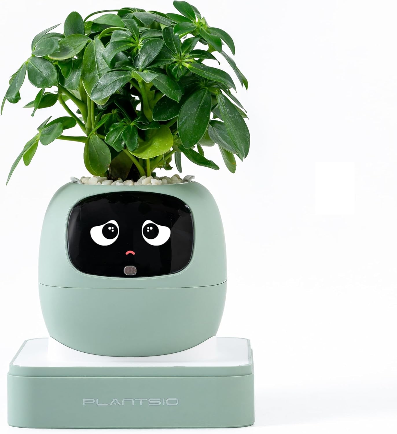 Smart Pet Planter Robot Guidance on Plant Care with Emojis, Adorable Plant Companion with Rich Gesture Interaction, Neat Desk Setup Gift (Pink)