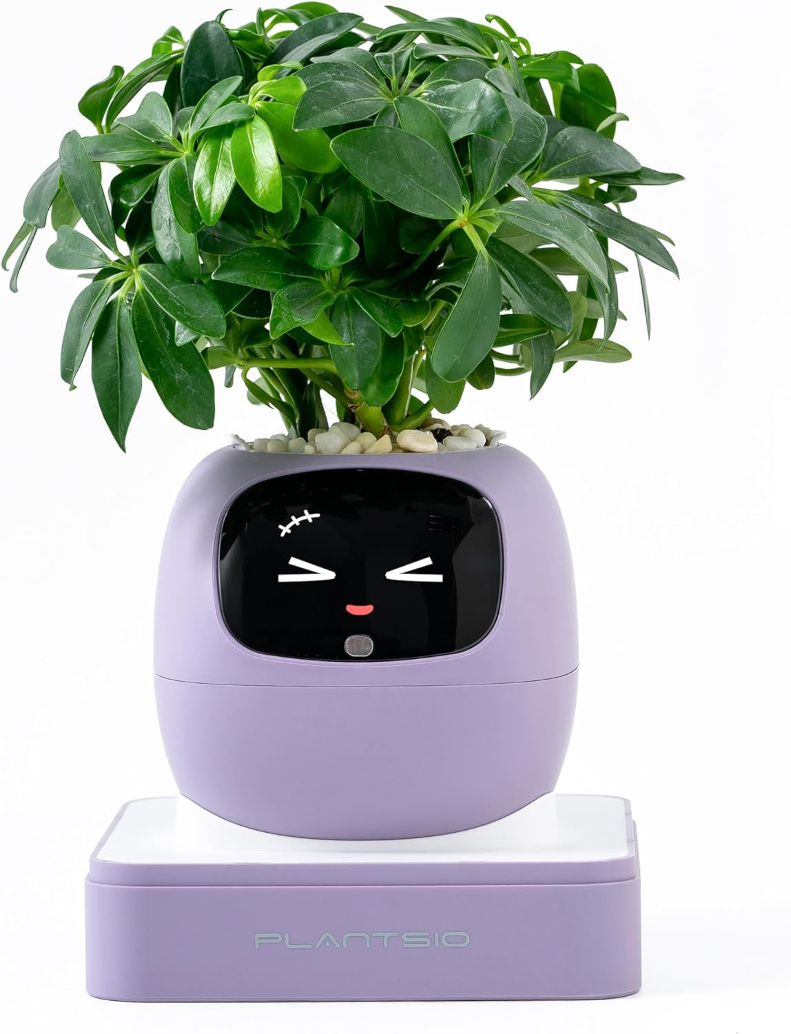 Smart Pet Planter Robot Guidance on Plant Care with Emojis, Adorable Plant Companion with Rich Gesture Interaction, Neat Desk Setup Gift (Pink)
